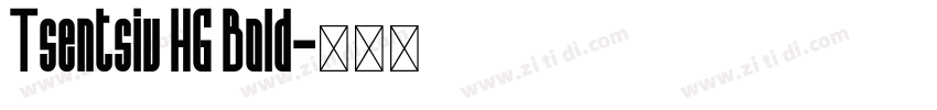 Tsentsiu HG Bold字体转换